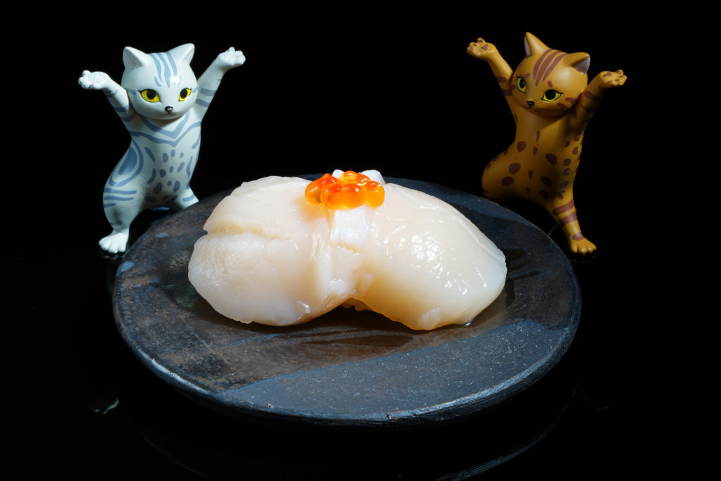 照明：Godox Litemons LA150Bi 1灯
レンズ：FE 70-200mm F4 Macro G OSS II　
ボディ：α１