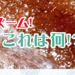 アイリスクエスト第壱話